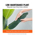 1.5m Artificial Birds of Paradise Tree Faux Plant PE Greenery Decor