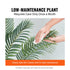 VEVOR Artificial Palm Tree, 1.5m Tall Faux Plant, Secure PE Material & Anti-Tip Tilt Protection Low-Maintenance Plant, Lifelike Green Fake Tree for Home Office Warehouse Decor Indoor Outdoor