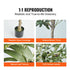 VEVOR Artificial Olive Tree, 15.2cm Tall Faux Plant, Secure PE Material & Anti-Tip Tilt Protection Low-Maintenance Plant, Lifelike Green Fake Potted Tree for Home Office Warehouse Decor Indoor Outdoor