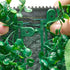 4PCS Artificial Boxwood Wall Panels 2x8ft Greenery Privacy Hedge 64sqft