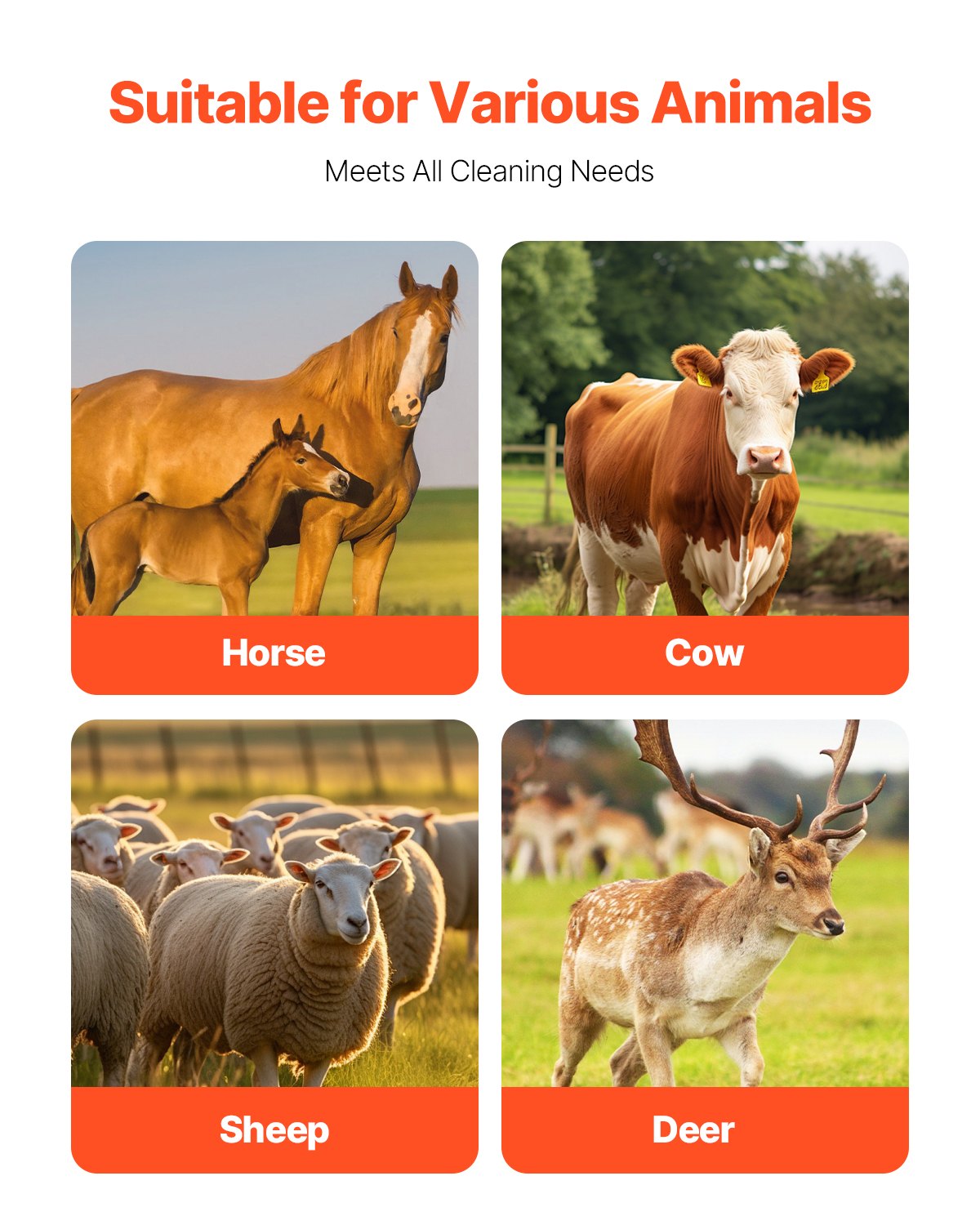 Livestock Scratching Brush, Horse Brush with 2 Screws, 20  x 7.5 in Cow Scratcher, for Back Itch Relief & Keep Cleaning, Grooming & Scratching Post Brush for Horse, Pig, Cattle Supplies