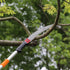 Manual Pole Saw Extendable Tree Pruner 1.4 m-3 m Aluminum Alloy Pole