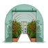 Walk-in Tunnel Greenhouse 14.6x6.36x6.3ft Galvanized Frame PE Cover Green