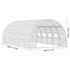 Walk-in Tunnel Greenhouse, 19.4x9.7x6.5 ft Hoop House Greenhouse Tunnel, Plant Hot House with Galvanized Steel Frame, White PE Cover, Roll-up Zipper Door and 12 Windows for Outdoor