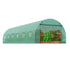 Walk-in Tunnel Greenhouse 29.2x9.7x6.5ft Galvanized Frame PE Cover Green