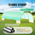 Walk-in Tunnel Greenhouse 29.2x9.7x6.5ft Galvanized Frame PE Cover Green