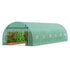 Walk-in Tunnel Greenhouse 29.2x9.7x6.5ft Galvanized Frame PE Cover Green