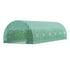 Walk-in Tunnel Greenhouse 29.2x9.7x6.5ft Galvanized Frame PE Cover Green