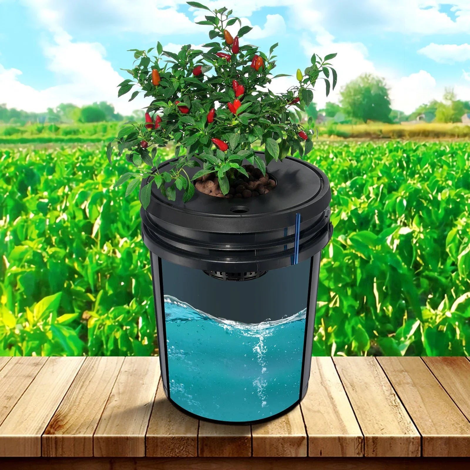 DWC Hydroponics Grow System, Hydroponic Growing System, Deep Water Culture 5-Gallon 4 Buckets, DWC System with Air Pump, Air Stones and Water Level Device for Leafy Vegetables