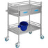 Lab Serving Cart, 2 Layers Stainless Steel Utility Rolling Cart, Medical Cart with Two Drawers, Dental Utility Cart with Lockable Wheels and A Bucket, for Laboratory, Hospital, Dental Use