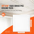 Ceiling Tiles 96-Pack 20 x 20 in Polystyrene Easy Installation Glue-up