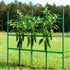 Garden Stakes, 50 Pack, 1170 mm, Plastic Coated Metal Tomato Stakes, Garden Sticks for Plants Support, with Pointed End and Non-Slip Bumps for Growing Climbing Plants, Outdoor Vegetables