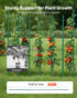 Garden Stakes, 25 Pack, 1800 mm, Plastic Coated Metal Tomato Stakes, Garden Sticks for Plants Support, with Pointed End and Non-Slip Bumps for Growing Climbing Plants, Outdoor Vegetables