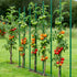 Garden Stakes, 25 Pack, 1800 mm, Plastic Coated Metal Tomato Stakes, Garden Sticks for Plants Support, with Pointed End and Non-Slip Bumps for Growing Climbing Plants, Outdoor Vegetables