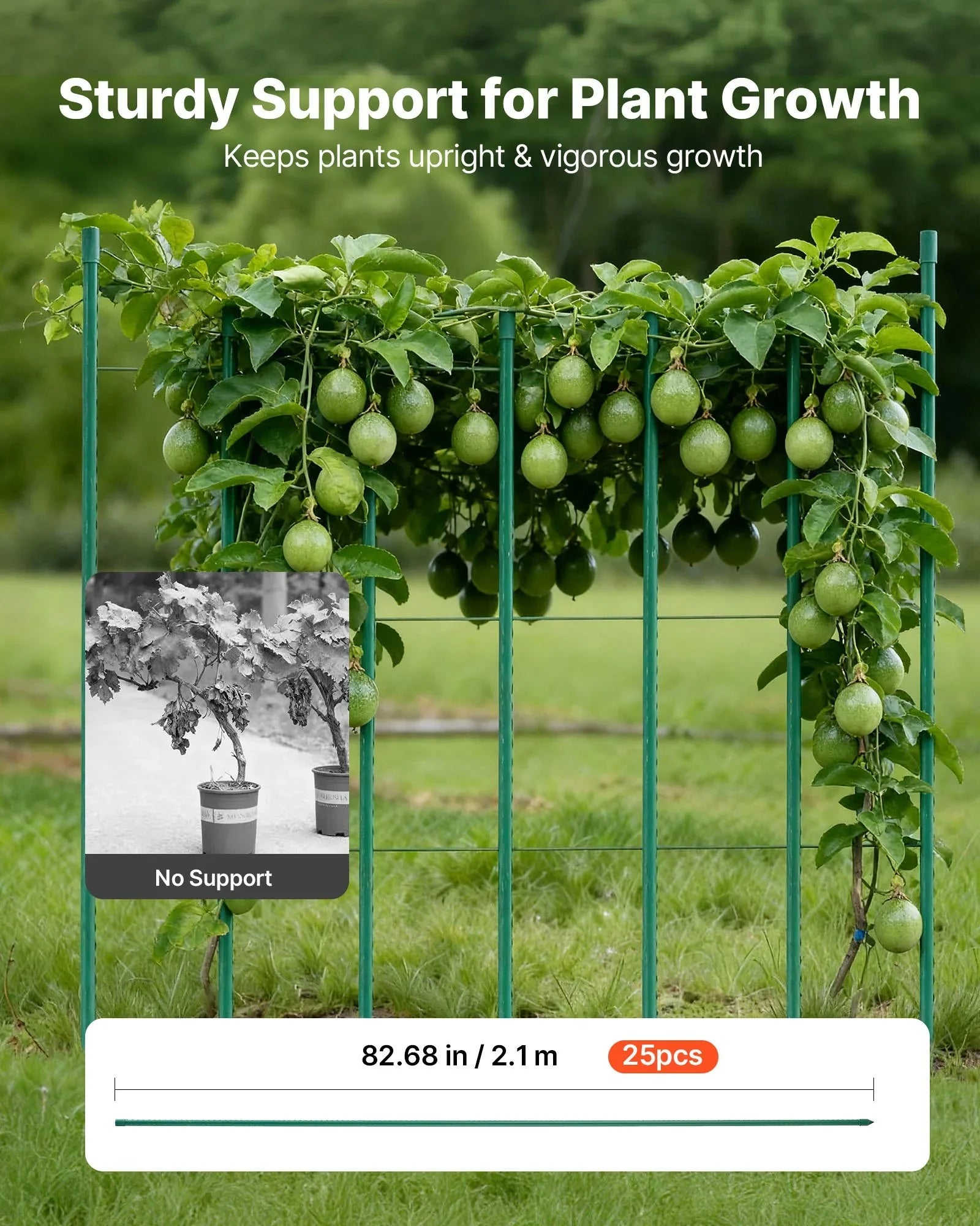 Garden Stakes, 25 Pack, 2100 mm, Plastic Coated Metal Tomato Stakes, Garden Sticks for Plants Support, with Pointed End and Non-Slip Bumps for Growing Climbing Plants, Outdoor Vegetables
