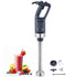 Commercial Immersion Blender 500W Heavy Duty Hand Mixer for Soup Sauces