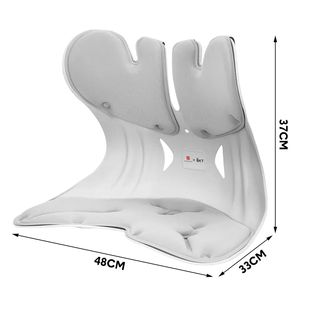 BKT Cushion Portable Ergonomic Lower Back Seat Lumbar Support Chair Posture Corrector Extra Large Fit 75-150kg Users for Home Office Chair and Floo