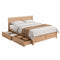 Artiss Double Bed Frame with 2 Drawers – Acacia Wood Storage Base 300kg