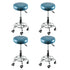 Levede 4x Barstool Swivel Salon Hairdressing-2018816861369667584