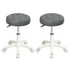Levede 2x Rolling Bar Stool Swivel Salon SPA Chair Grey-2018816801848299520
