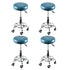 Levede 4x Barstool Swivel Salon Hairdressing-2006732743672729600