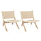 Levede 2x Accent Chair Foldable Recliner-2006732725536559104