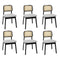 Levede Dining Chair Wood Rattan Armless Black x6-2029387211857858560