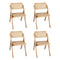 Levede 4X Dining Chairs Foldable Accent-2006732726266368000