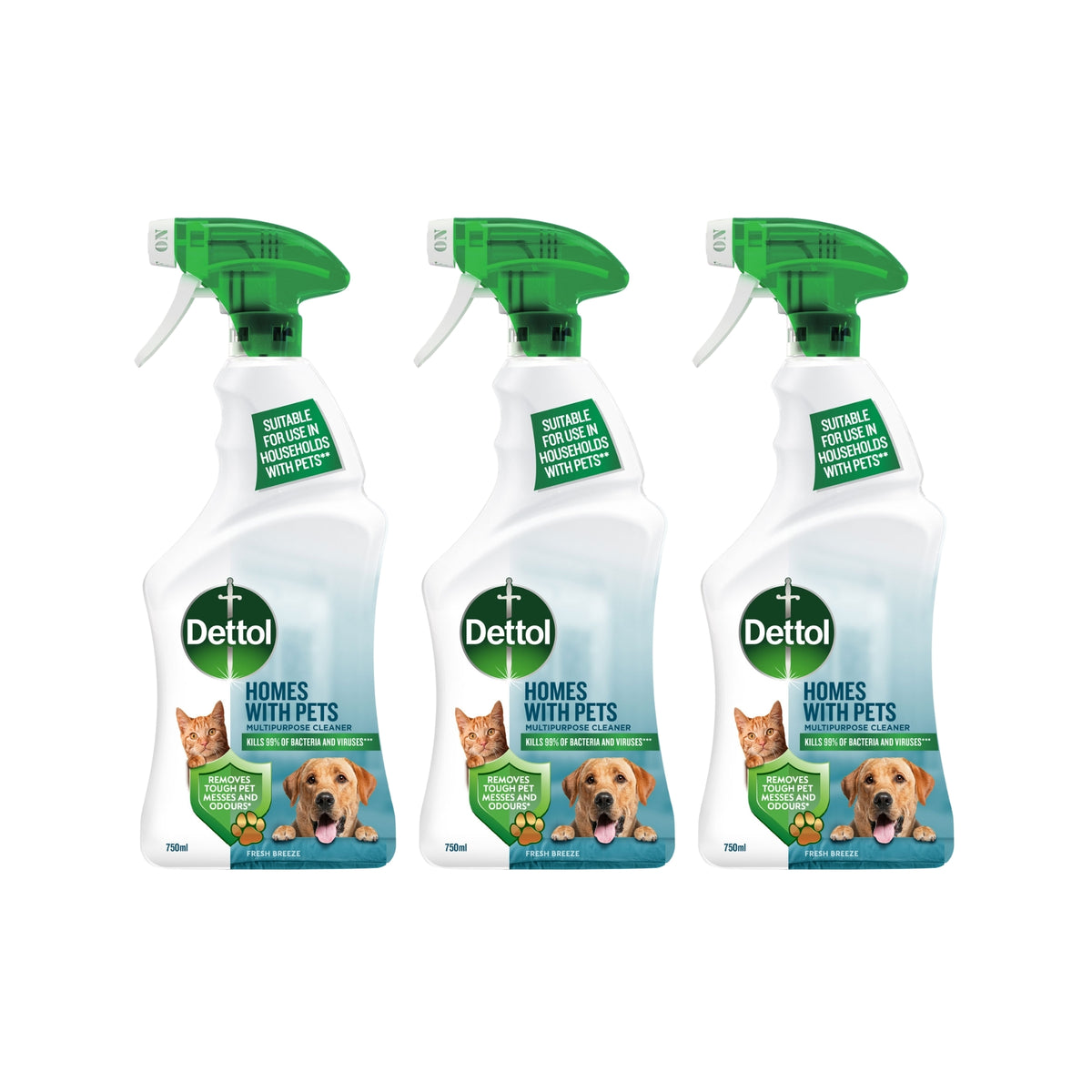 Dettol 750ml Homes with Pets Multipurpose Cleaner x3-2109799590113513473