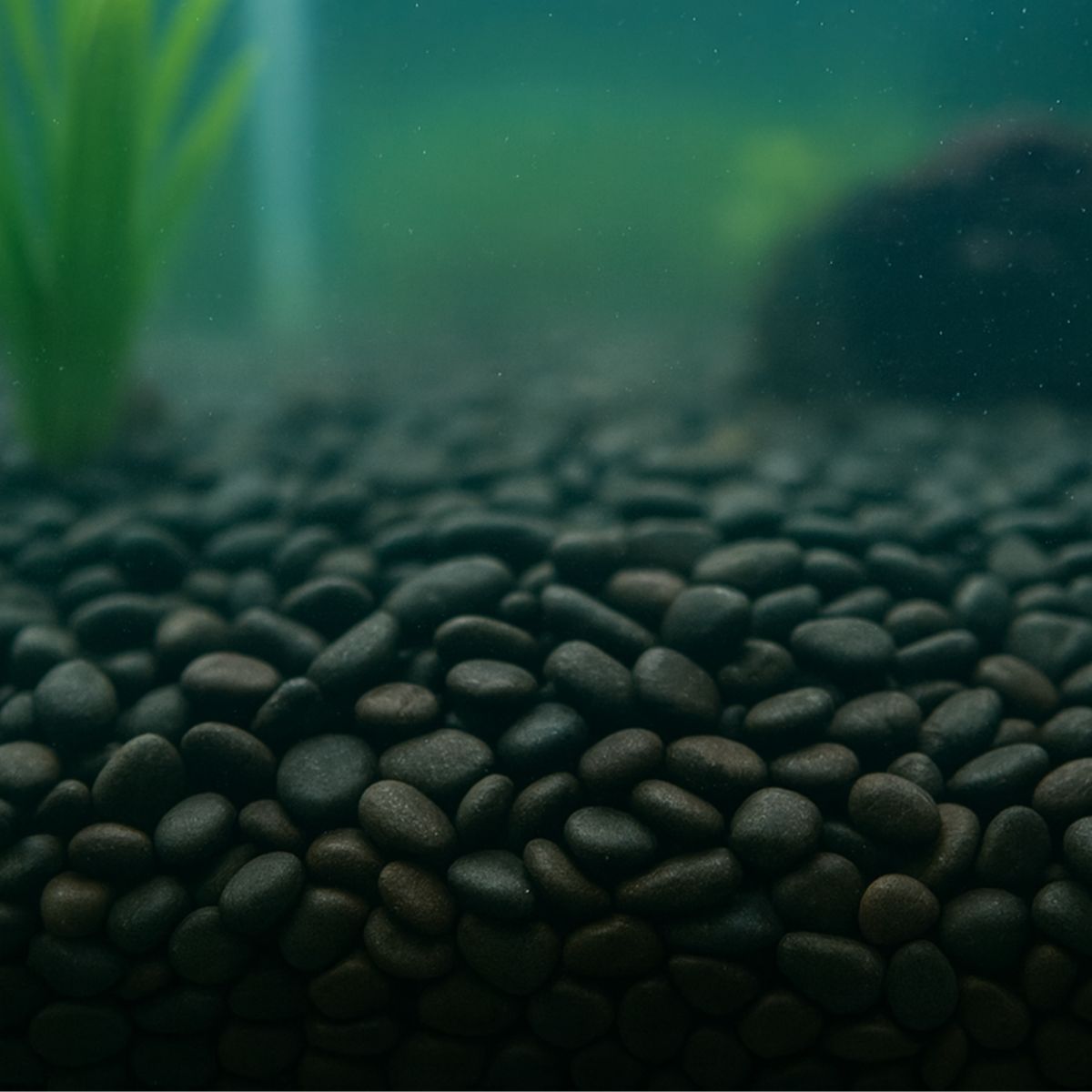 Showmaster 4-6mm Black Pebbles 5kg-1996009962509307905