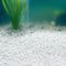 2x Showmaster Aussie White Aquariam Sand 5kg-1996009964052811777