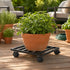Plant Caddy Set of 3 – Heavy‑Duty Rolling Pot Trolleys, 32cm, Indoor/Outdoor