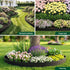 Garden Landscape Edging – Flexible PP No‑Dig Border, 10pcs + 60 Nails, Black