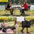 Heavy‑Duty Camping Mesh Table with 30kg Capacity & Foldable Portable Design