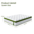 BedStory Queen Mattress 34cm Medium- Hybrid Mattress for Pressure Relief Motion Isolation