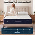 King Single Mattress, 26cm Orthopedic Firm Mattress for Back Pain Relief, Pocket Spring Hybrid Mattress King Single Size for Home & Rental