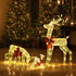 Tinseltown Christmas Lights LED 3PCS Reindeer Family Xmas Decor