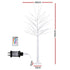 Christmas Tree 1.7m Twigs 120 RGB LED Lights Xmas Trees Decoration
