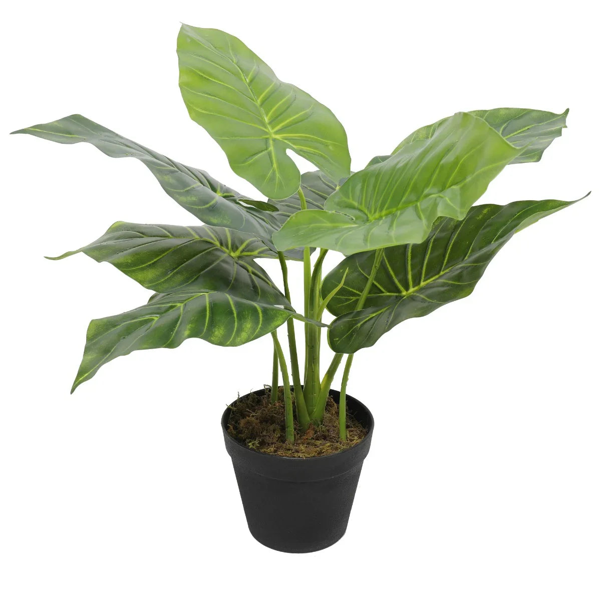 Artificial Taro Plant – Potted Elephant Ear Faux Plant, 30cm Indoor Décor