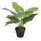 Artificial Taro Plant – Potted Elephant Ear Faux Plant, 30cm Indoor Décor