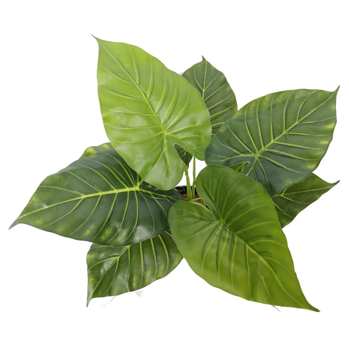 Artificial Taro Plant – Potted Elephant Ear Faux Plant, 30cm Indoor Décor