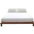 DreamZ Terry Cotton Fully Fitted Waterproof Large-1864183512391880704