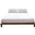 DreamZ Terry Cotton Fully Fitted Waterproof XX-Large-2029387255742861312