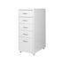 Levede 5 Drawer Office Cabinet Drawers White-1973193876470632448