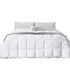 DreamZ 400GSM All Season Bamboo Winter Queen-1864183341763399680
