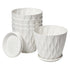 Toque Plant Pots 5 Pcs 8 Inchs Plastic Planter Pots with Drainage Saucers White-2072893580992712704