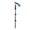 Mountview 2 Pcs Hiking Trekking Poles Walking Stick Adjustable Lightweight Black-2050059022798819329