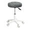 Levede 2x Rolling Bar Stool Swivel Salon SPA Chair Grey-2018816801848299521