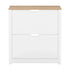 Levede Narrow Shoe Cabinet Organiser Storage Rack Flip-up Drawer 12 Pairs White-2050056773427138561