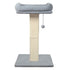 Pawz Cat Scratcher Big Perch Bed-2065254280360759297